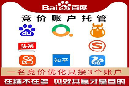 竞价排名的投放策略与效果评估案例