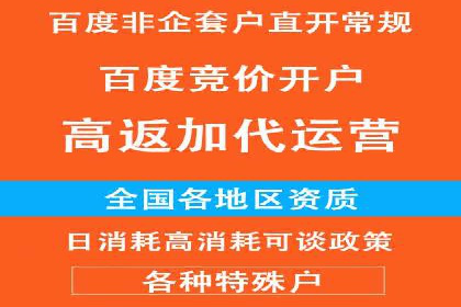 深度解析：竞价推广公司经典案例